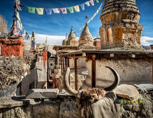 Randonnée dans le Haut-Mustang au Népal avec paysages désertiques, villages tibétains, monastères anciens et vues spectaculaires sur l’Himalaya.