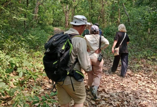 À la découverte du parc national de Chitwan du côté plus sauvage