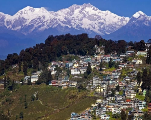 Darjeelingpackage Banner X