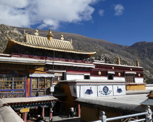 Drepung Monastery X
