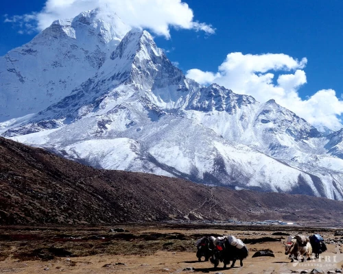 Gallery Ama Dablam X