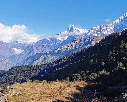 Ghorepani Mohare Hill Trek 