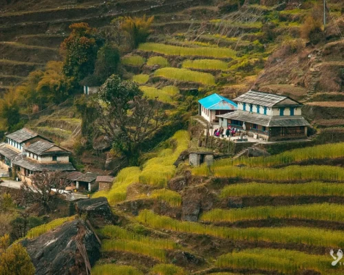 Local Villge On The Way To Mardi Himal Trek X