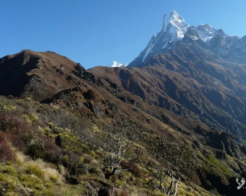 Machhapuchhare Banner X